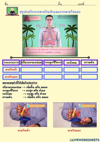 Liveworksheets ระบบหายใจ 3