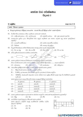 Grade 10 Third term Test - Part 1