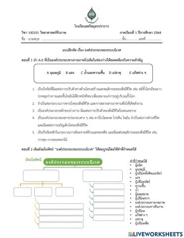 องค์ประกอบของระบบนิเวศ