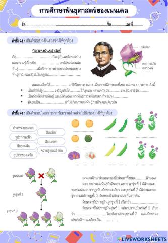 การศึกษาพันธุศาสตร์ของเมนเดล