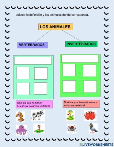 Animales vertebrados e invertebrados