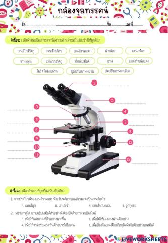 กล้องจุลทรรศน์