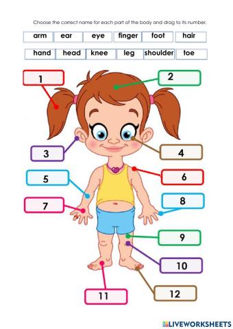 Parts of the Body