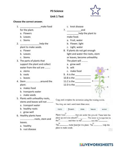 Grade 3 Science unit 1 Plants