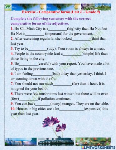 Exercise - Comparative forms (Unit 2 – Grade 9)