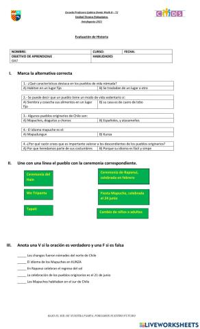 Evaluación pueblos originarios