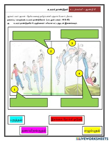 உயரம் தாண்டுவோம்