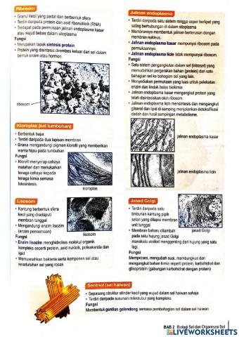 Bio t4 bab 2 sel & organisasi