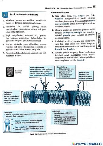 Bio t4 bab 3: membran plasma