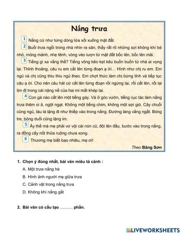 Nắng trưa