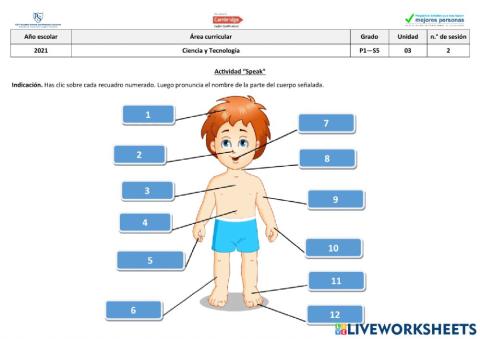 Partes del cuerpo