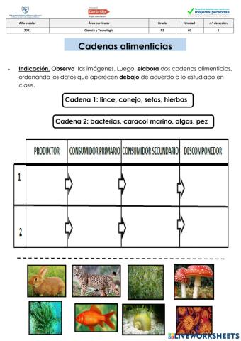 Cadena alimenticia