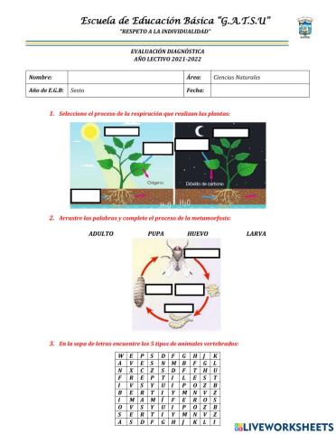 Evaluación