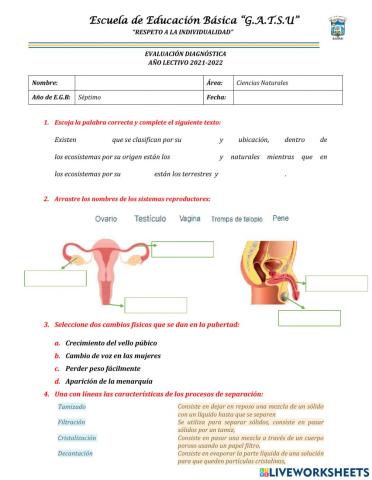 Evaluación