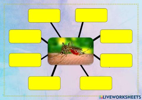 சரியான விடையை தெரிவுச் செய்க.