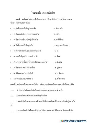 ใบงานระบบขับถ่าย