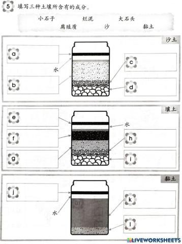 一年级科学土壤