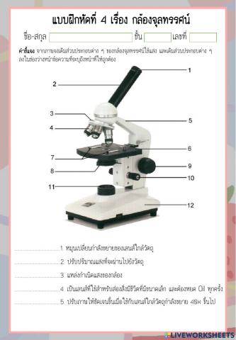 กล้องจุลทรรศน์