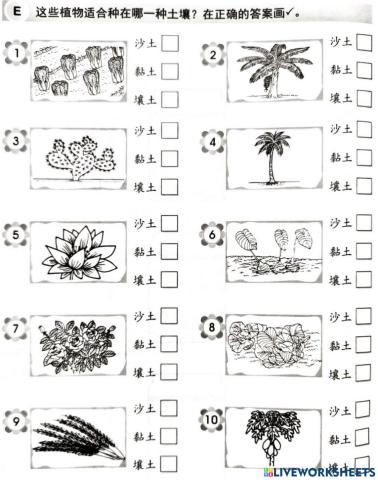 一年级科学土壤