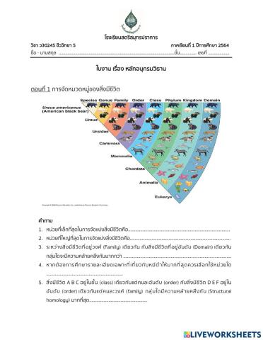 Taxonomy