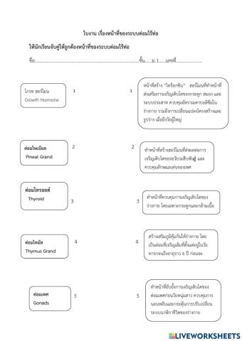 สุขศึกษา