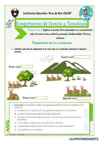 Organización de los ecosistemas