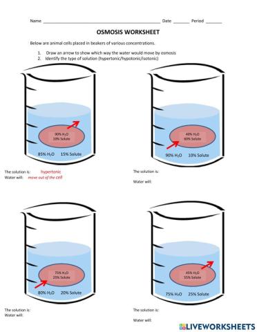 Osmosis worksheet