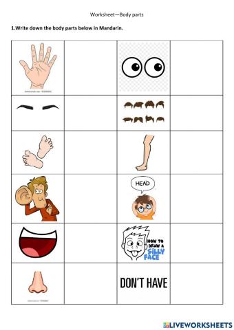 Body part worksheet