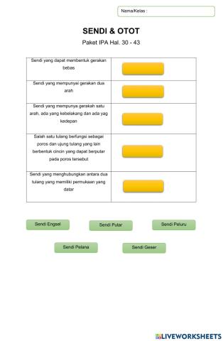 LKPD Sendi & Otot