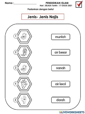 Jenis-jenis Najis