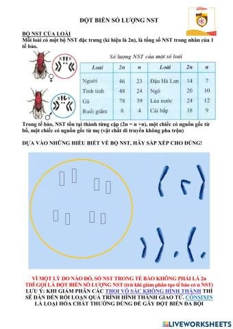 Bài 6. đột biến số lượng nst