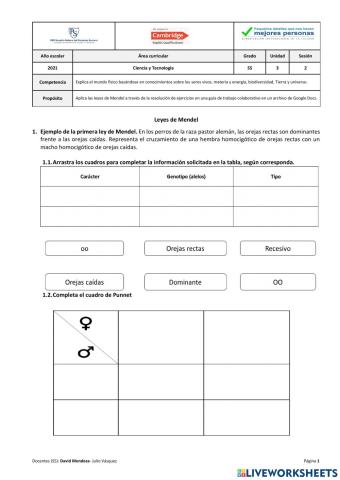 Leyes de Mendel