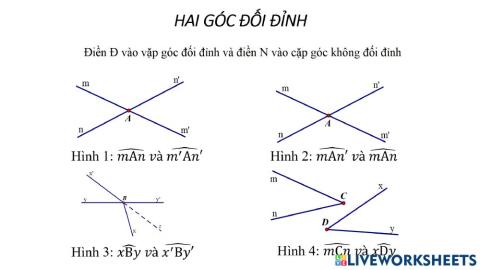 Hai góc đối đỉnh