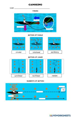 Force and Motion canoeing