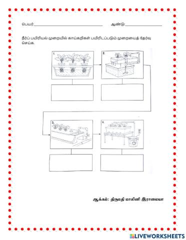 நீர்ப் பயிரியல் வகைகள்