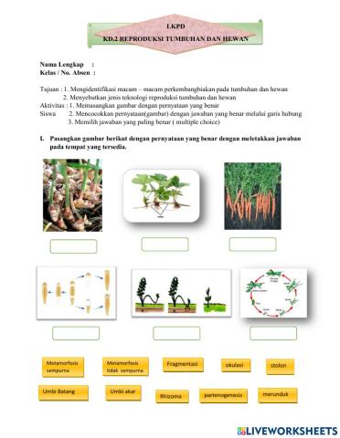 Lkpd reproduksi tumbuhan dan hewan