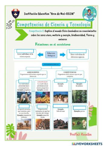 Relaciones entre especies