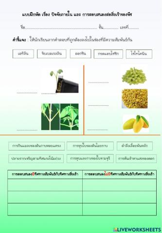 การตอบสนองต่อสิ่งเร้า