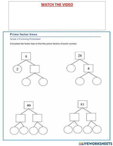 Prime  Factor Tree