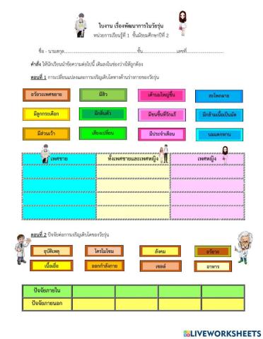 ใบงานเรื่องพัฒนาการในวัยรุ่น ม.2