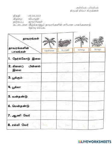 தாவரங்களின் பாகங்கள்