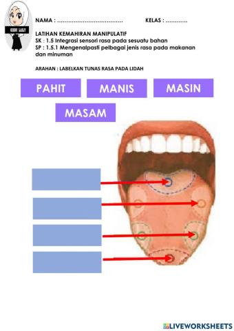 Latihan deria rasa