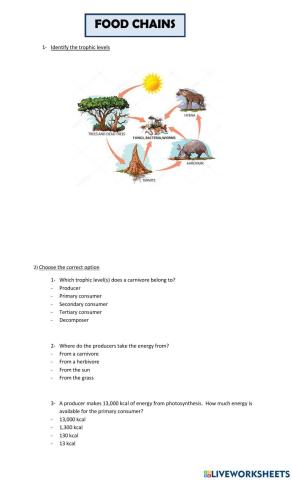 Food chains