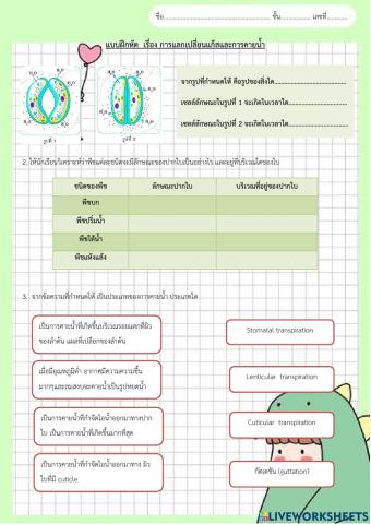 ใบงานการคายน้ำ