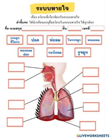 ว 1.2 ม.2-1