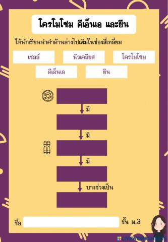 โครโมโซม ดีเอ็นเอ ยีน