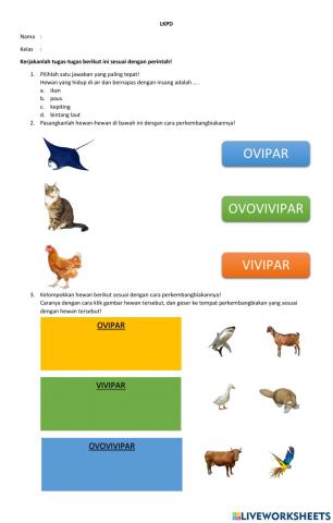 Perkembangbiakan hewan