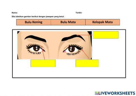 Pdpr bahasa isyarat komunikasi