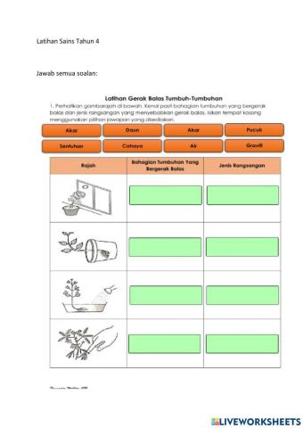 Latihan Sains Tahun 4 - Tumbuhan