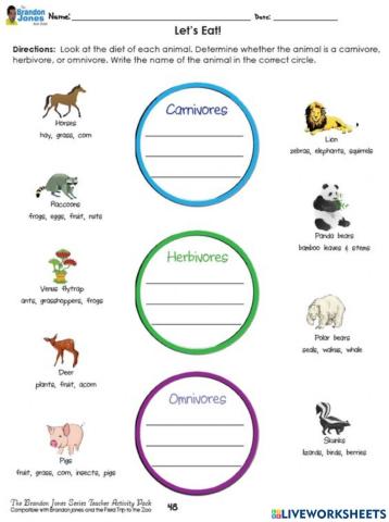 Types of animals